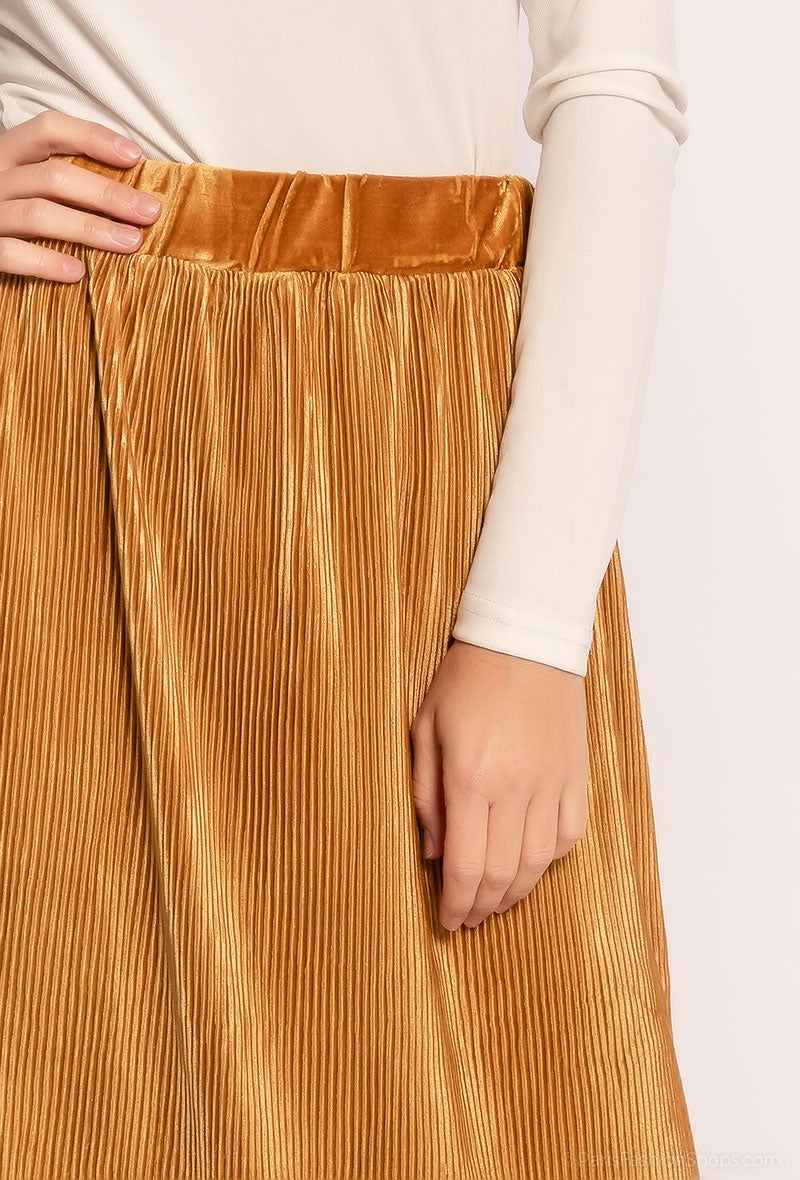 31086 Jupe en velours