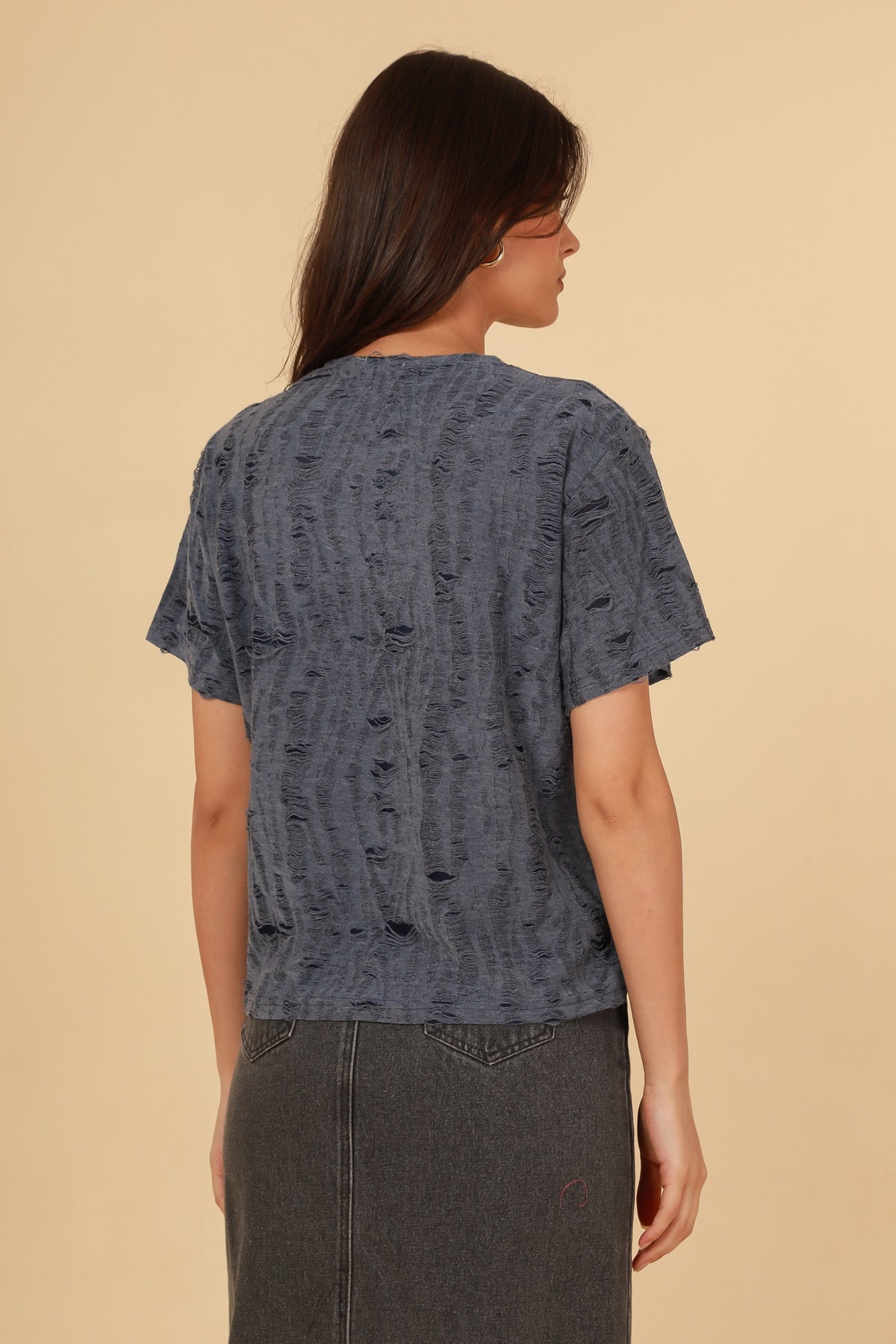 31520 T-shirt destroy