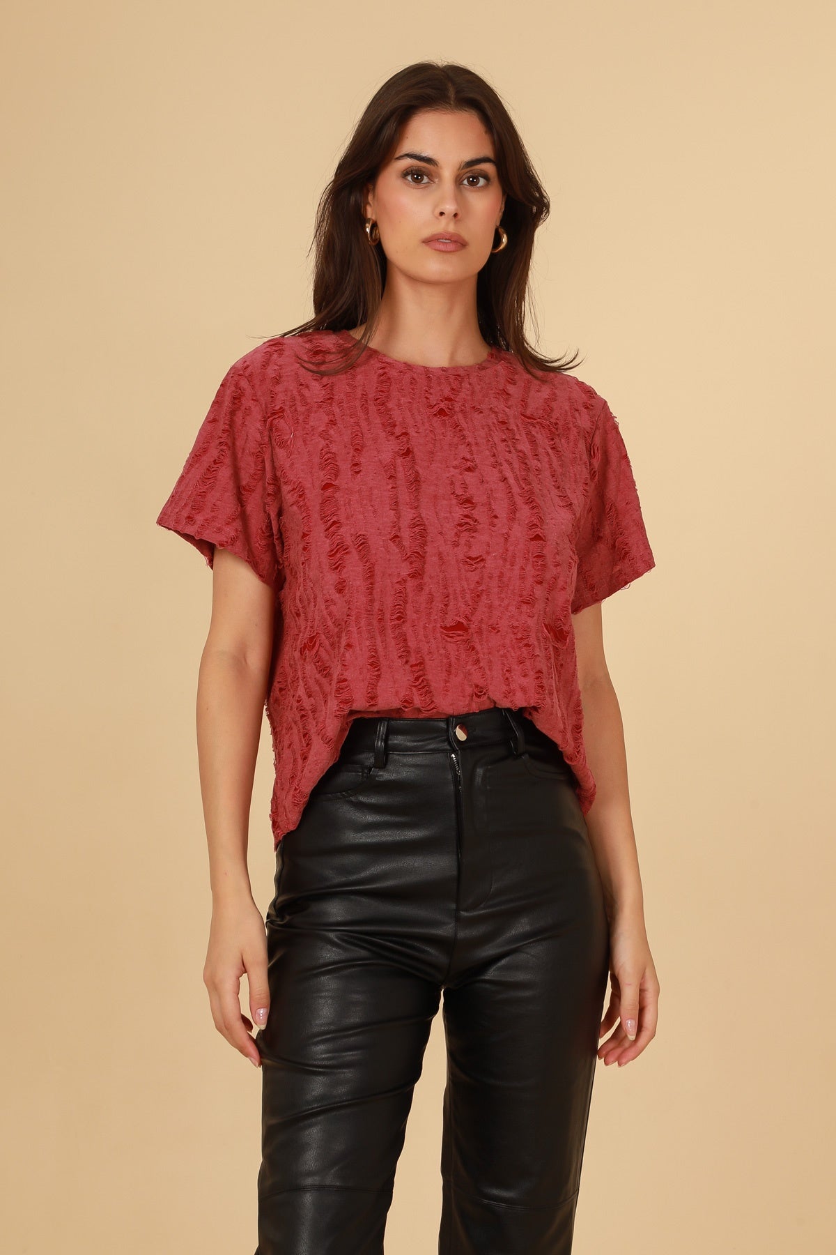 31520 T-shirt destroy