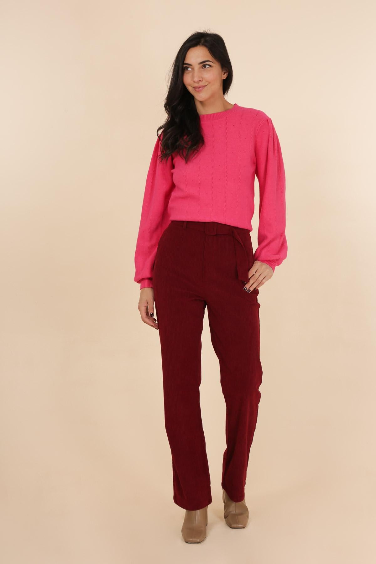 3815 Pantalon en velours