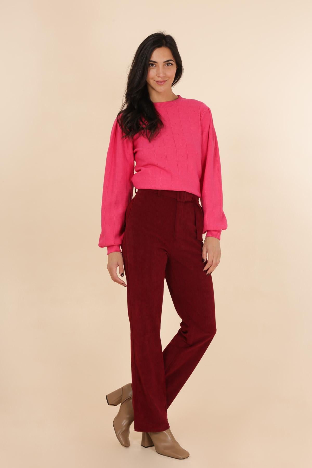 3815 Pantalon en velours